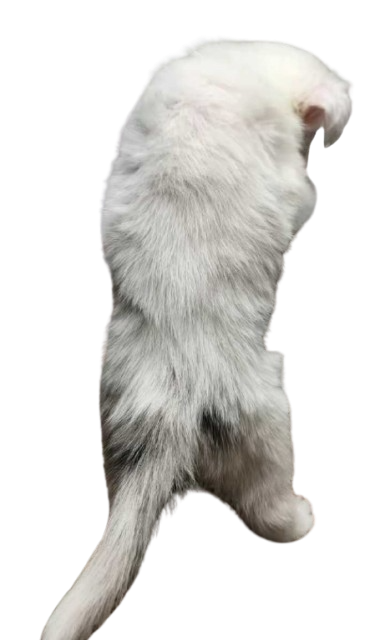 1000023049
